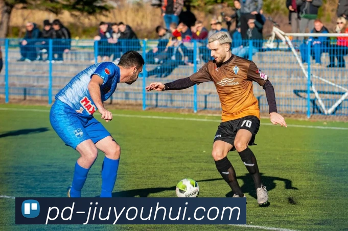 九游会J9官网服务体系